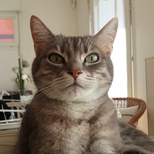 Stéphanie